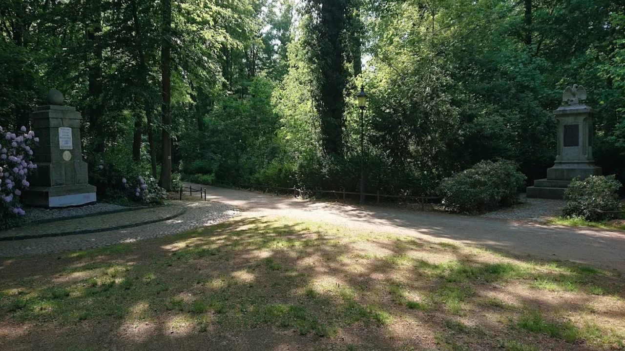 AreaSummer5KM AreaSummer5KM